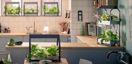 Tehnologie pentru o grădină acasă într-un apartament