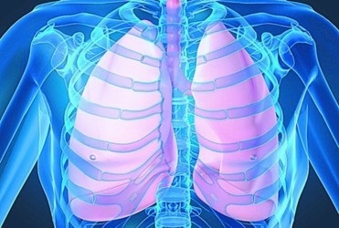 Tuberkulózis élhet nem csak a tüdő és fél aloe és konyak - egészség és szépség - mi