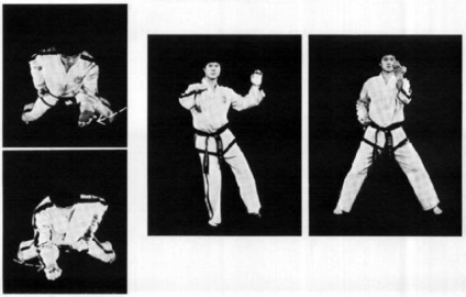 Aflați tehnica acțiunii de protecție - leul - clubul de copii al taekwondo