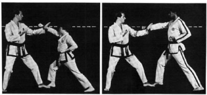 Aflați tehnica acțiunii de protecție - leul - clubul de copii al taekwondo