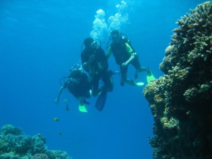 În Egipt, totul este calm sau diferit de scufundările cu scufundări - 