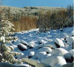 Vitosha (Bulgaria)