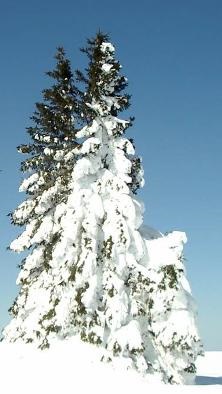 Vitosha (Bulgaria)