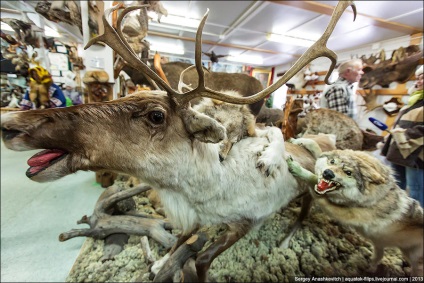 În lumea animalelor sau un muzeu al unei singure persoane este interesant!