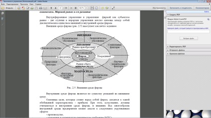 A belső és külső környezete szervezet (társaság), valamint azok kapcsolata