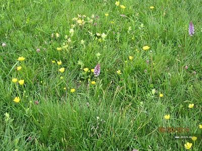 În jurul Lacului Garda, o excursie la Alpi