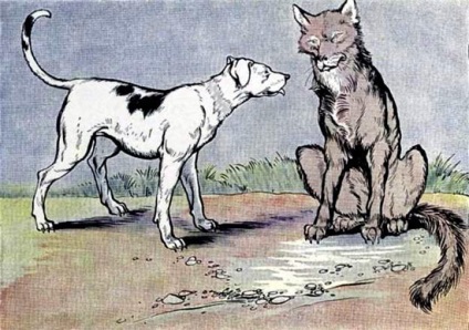 Un lup și un câine (un leu gros), un lup literar și un câine, basme de ruși, popoare, popoare