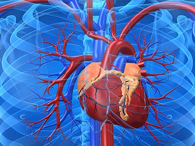 Modificări de vârstă în sistemul cardiovascular