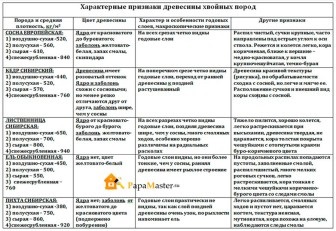 Specii și utilizări de arbori de conifere, tatăl maestru!