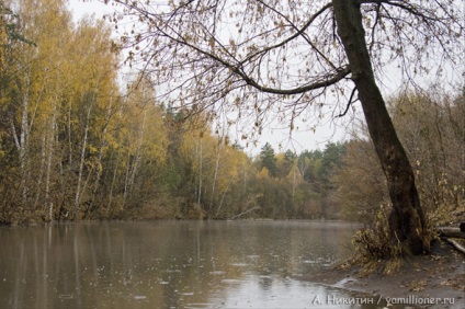 De ce în ploaie mergeți în pădure, eu