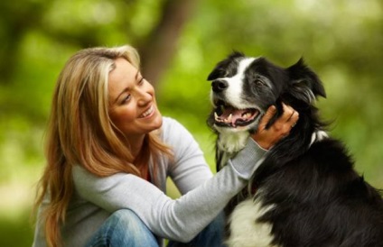Dinți sănătoși - câini sănătoși