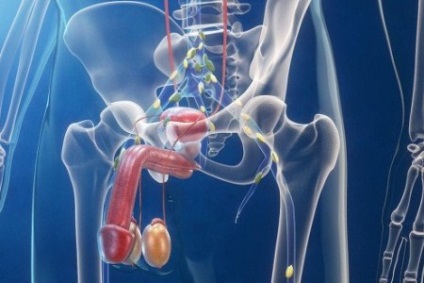 Adenocarcinomul stadiului de glisson de prostată și tratamentul pacienților