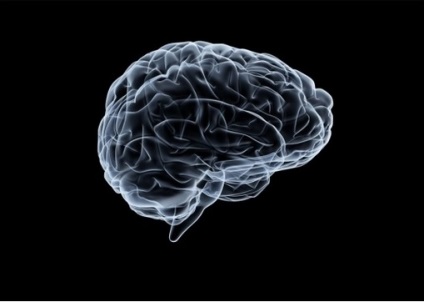 Boala alcoolică a creierului - asociație științifică și medicală - narcologie