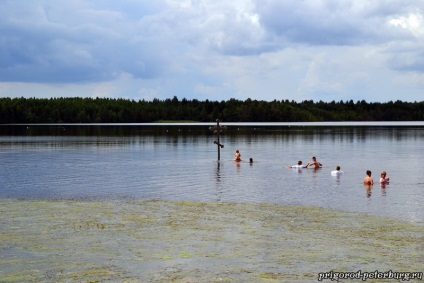 Manastirea Antonievo-Smysky (tikhvin), suburbiile din Petersburg