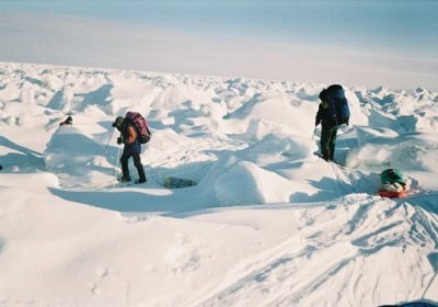 Arhivele adăpostului - supraviețuire în sălbăticie și situații extreme