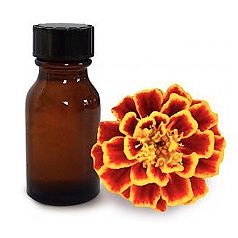 Marigolds diabetes - terápiás tulajdonságokkal, receptek
