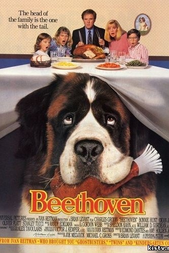 Beethoven - o descriere a tuturor seriilor!