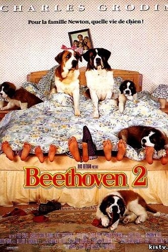 Beethoven - o descriere a tuturor seriilor!