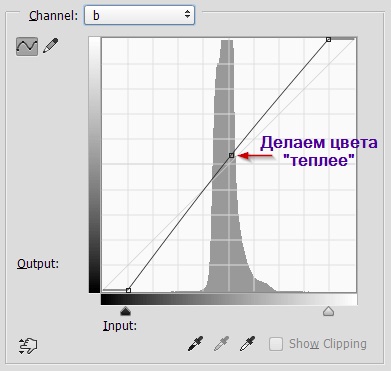 Procesarea rapidă a fotografiilor în Photoshop