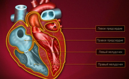 Blocarea ventriculului stâng al inimii