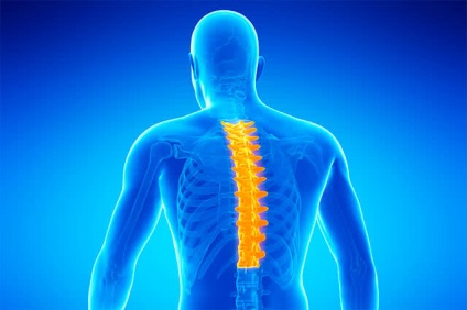Durerea în coloana vertebrală a departamentului toracic cauzează, simptome, tratament