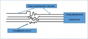 Celuloză microcristalină