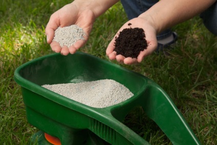 Cum să fertilizeze terenul în toamnă dacă nu există gunoi de grajd