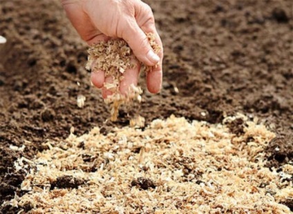 Cum să fertilizeze terenul în toamnă dacă nu există gunoi de grajd