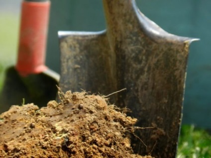 Hogyan megtermékenyítő a talajt az ősszel, ha nincs trágya