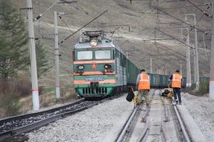 Чим замінити квітучі тополі обговорили на раді з озеленення в чите (пух) Чим замінити квітучі тополі обговорили на раді з озеленення в чите