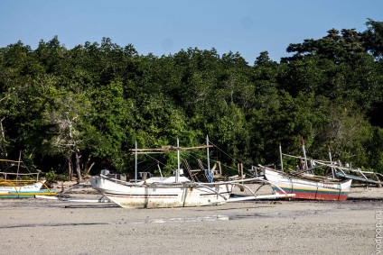 Ce să faceți în Puerto Princess Honda Bay, hoteluri și restaurante - care călătoresc și locuiesc în străinătate