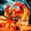 Ceea ce simbolizează pasărea phoenix roșu în feng shui