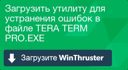 Ce este tera termen și cum să-l repara conține viruși sau este în siguranță