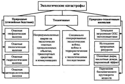 Războiul ecologic ca dezastru ecologic antropogen