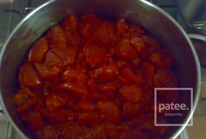 Extract de tomate - o rețetă cu fotografii - patee
