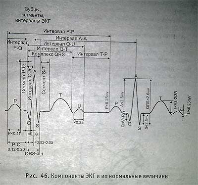 Electrocardiografia - site-ul ambulanței neoficiale al orașului Ekaterinburg