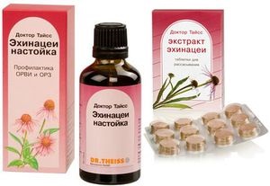 Echinacea pentru imunitate și pentru prevenirea bolilor, terra medicale