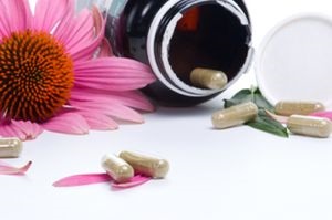 Echinacea pentru imunitate și pentru prevenirea bolilor, terra medicale