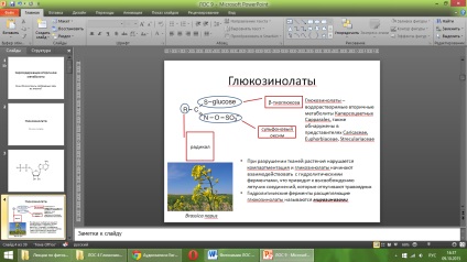 Phytochemistry los № 4