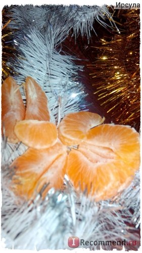 Gyümölcs mandarin klementin - 