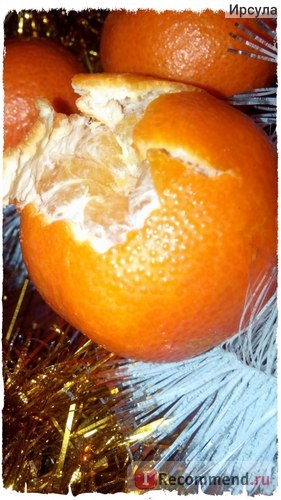 Fruit tangerine clementine - 