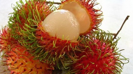 Fructul rambutan așa cum este, cultivarea, proprietățile utile, fotografia