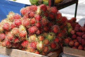 Fructul rambutan așa cum este, cultivarea, proprietățile utile, fotografia