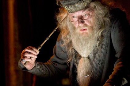 Harry Potter caractere magice baghetă - blog dmitry woodworker