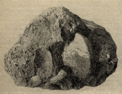 Rocks se nasc, trăiesc, mor în 1965 Lebedinsky