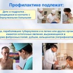 Https www bayerhealthcare ru inregistrare metru ts - cumpăra glucometru, Bulgaria și lumea
