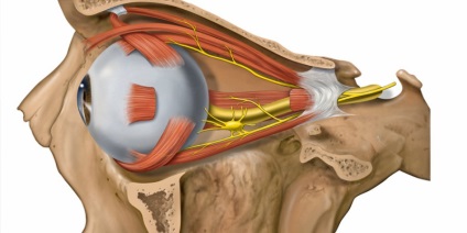 Neuropatia ischemică a cauzelor, simptomelor și tratamentului nervului optic (optic), diagnosticul în