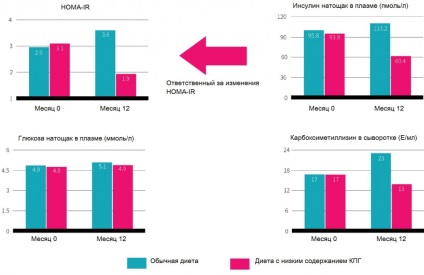 Cercetarea ca metodă de gătit vă afectează sănătatea