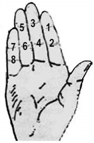 A számítástechnika történetében - a kézi szakasz - ujj-számláló
