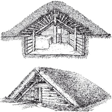 Cabana - fostul dugout, crescut de pe pământ - satul - catalogul articolelor